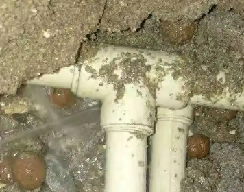 裕民测漏水多少钱