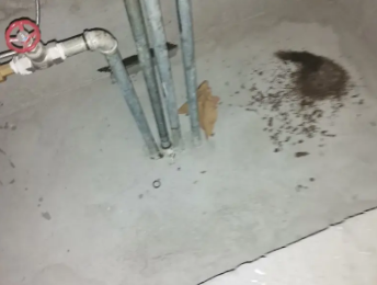 裕民卫生间测漏水价格明细